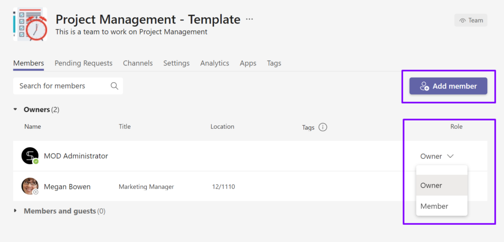Microsoft Teams owners and members