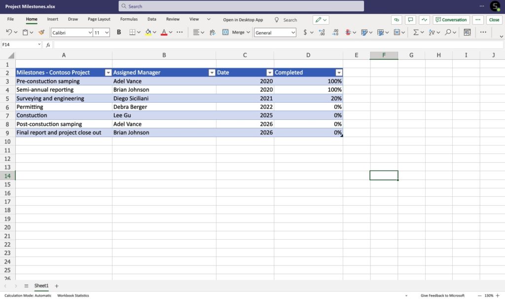 Project Management Excel